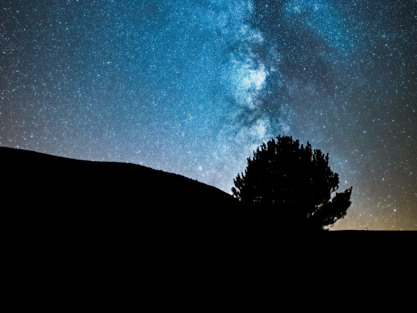 Night Tree Starry Sky Dark Milky Way Stars Background