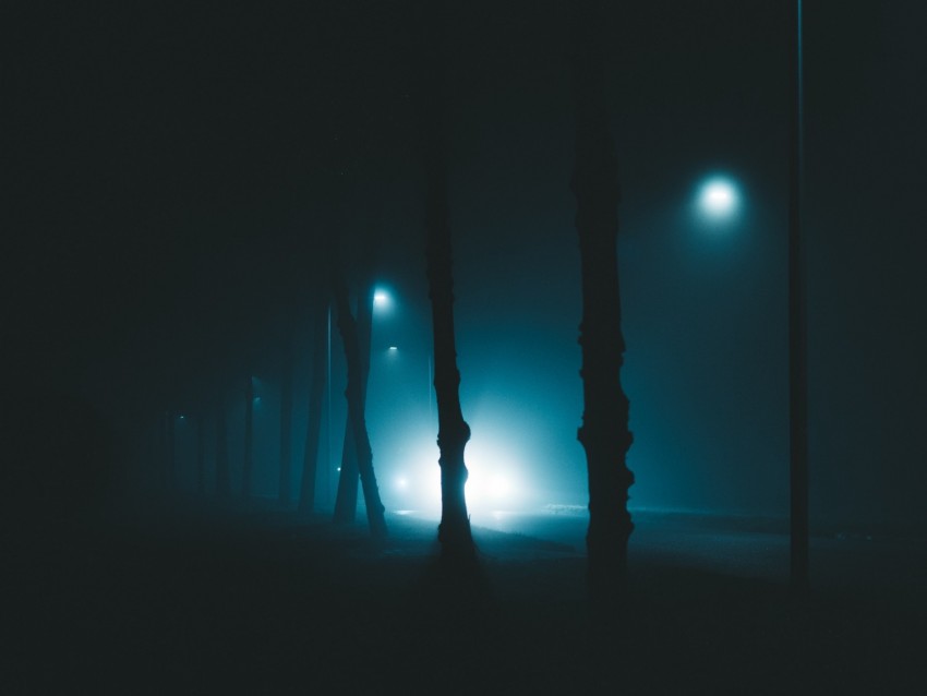 Night Trees Fog Lights Light Gloomy Enveloping Background