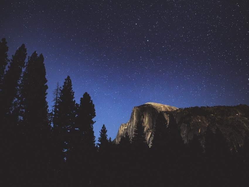 Night Trees Mountains Stars Forest Background