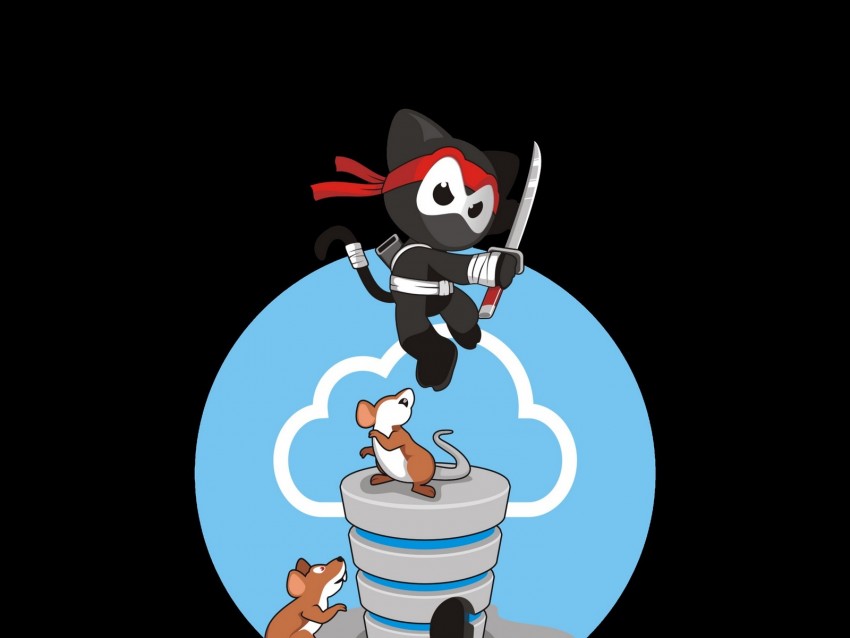 ninja, cat, mouse, vector