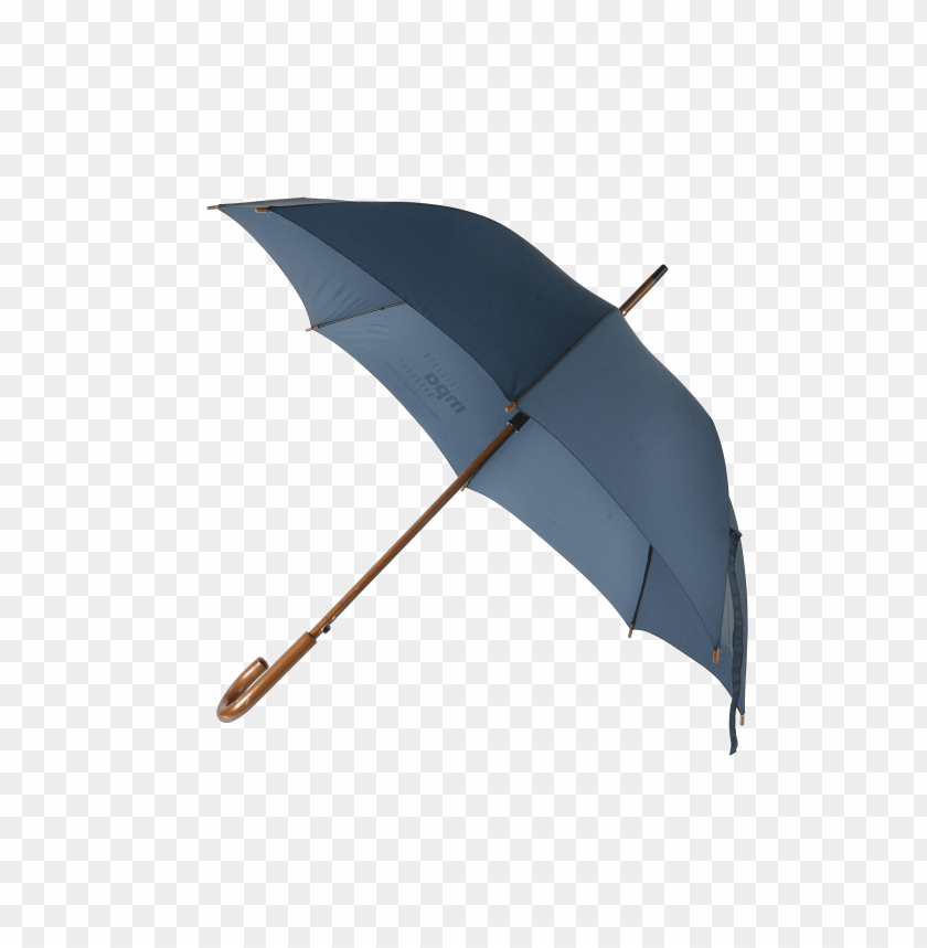 umbrella, blue umbrella, outdoor gear, rain protection, stylish umbrella, weather accessory, lightweight umbrella