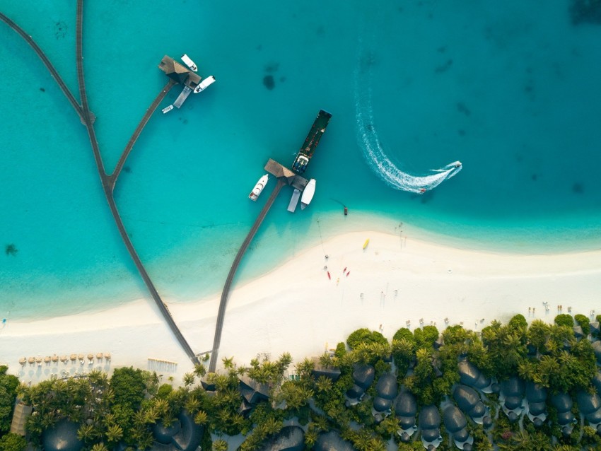 ocean, aerial view, coast, bungalow, palm trees