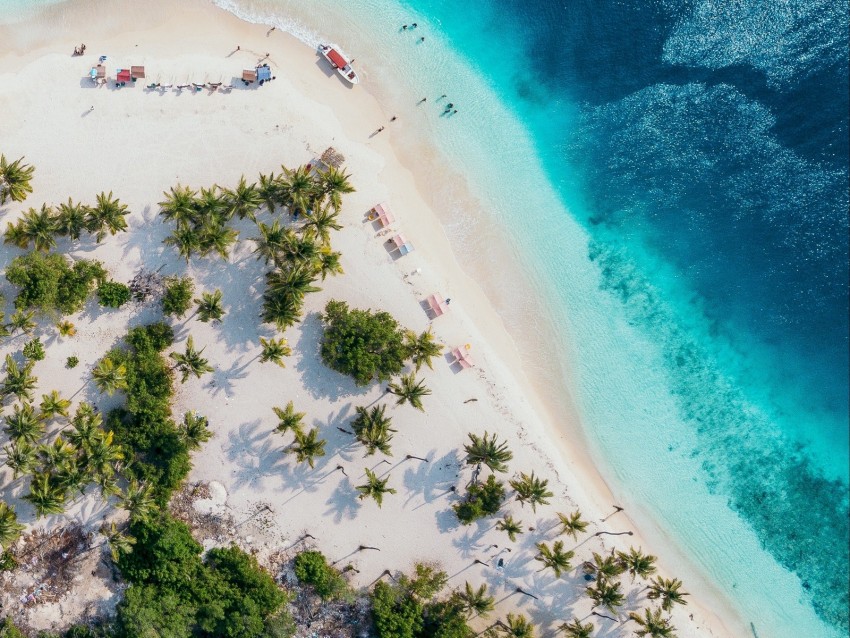 ocean, aerial view, coast, palm, sand