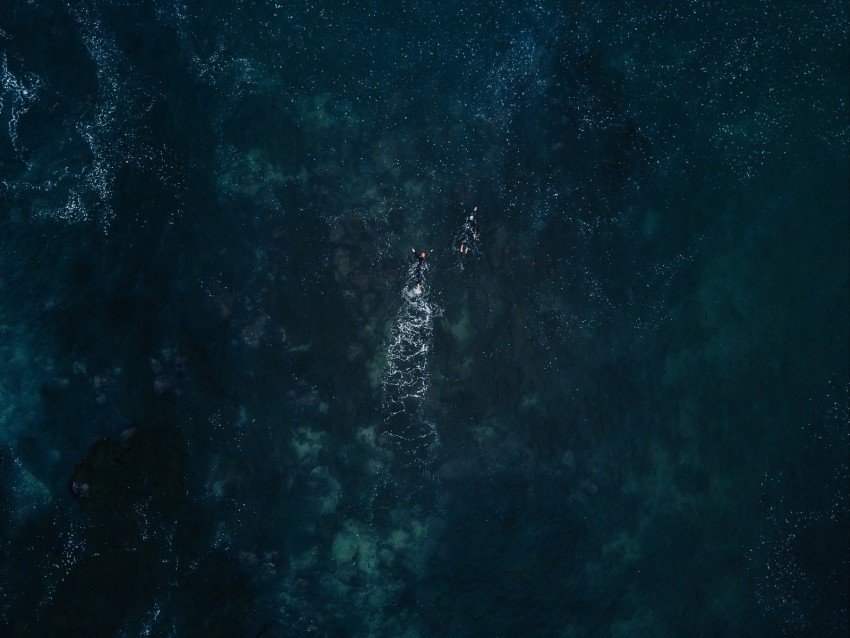 ocean, aerial view, swimmers, waves, water