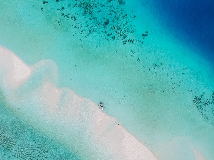 ocean, aerial view, water, tropics, sand, beach