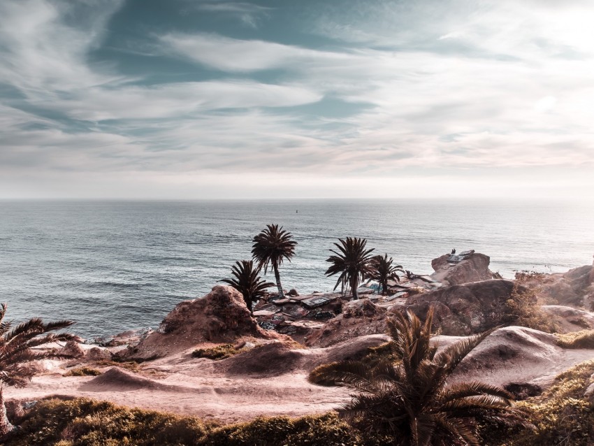 Ocean Coast Palm Trees Cliff Rocky Horizon Background