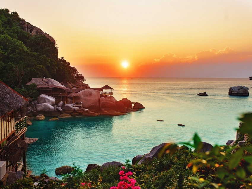 ocean, horizon, sunset, beach, vegetation