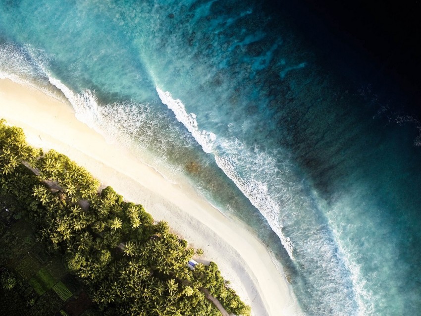 ocean, palm trees, aerial view, waves, surf, shore