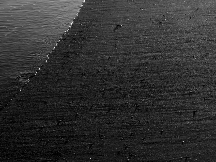 ocean, shore, bw, sand