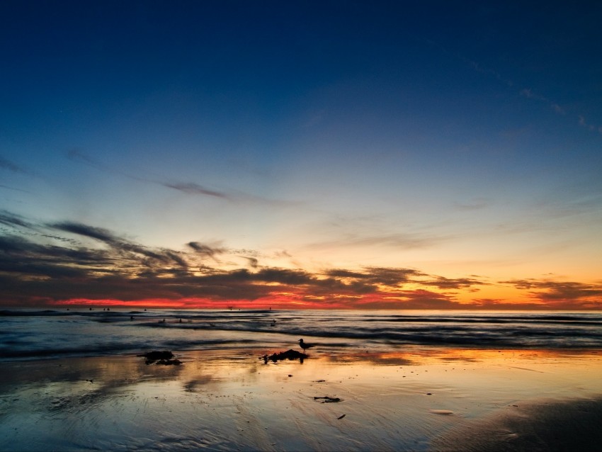 ocean, sunset, horizon, sand, silhouettes, california