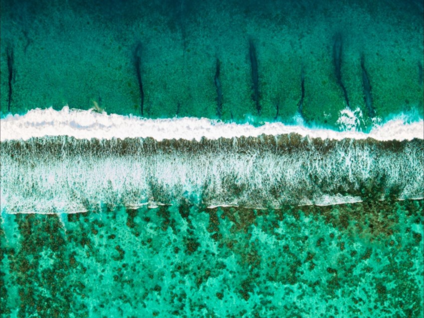 ocean, surf, aerial view, shore, wave, foam