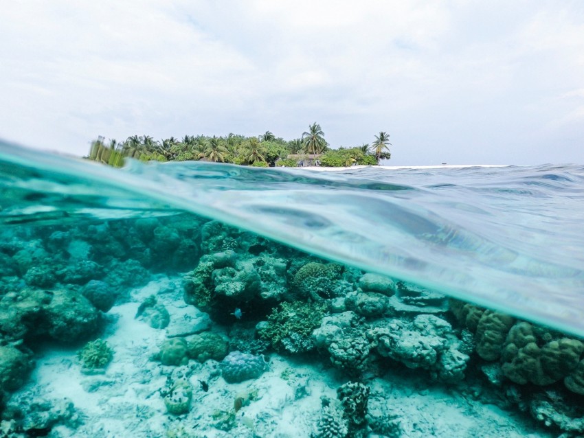 ocean, underwater world, water, island, sky