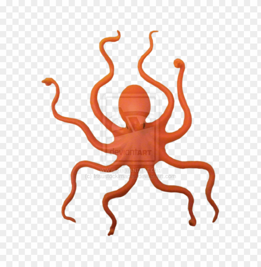 octopus png, octopus,png