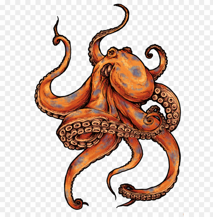 octopus png, octopus,png