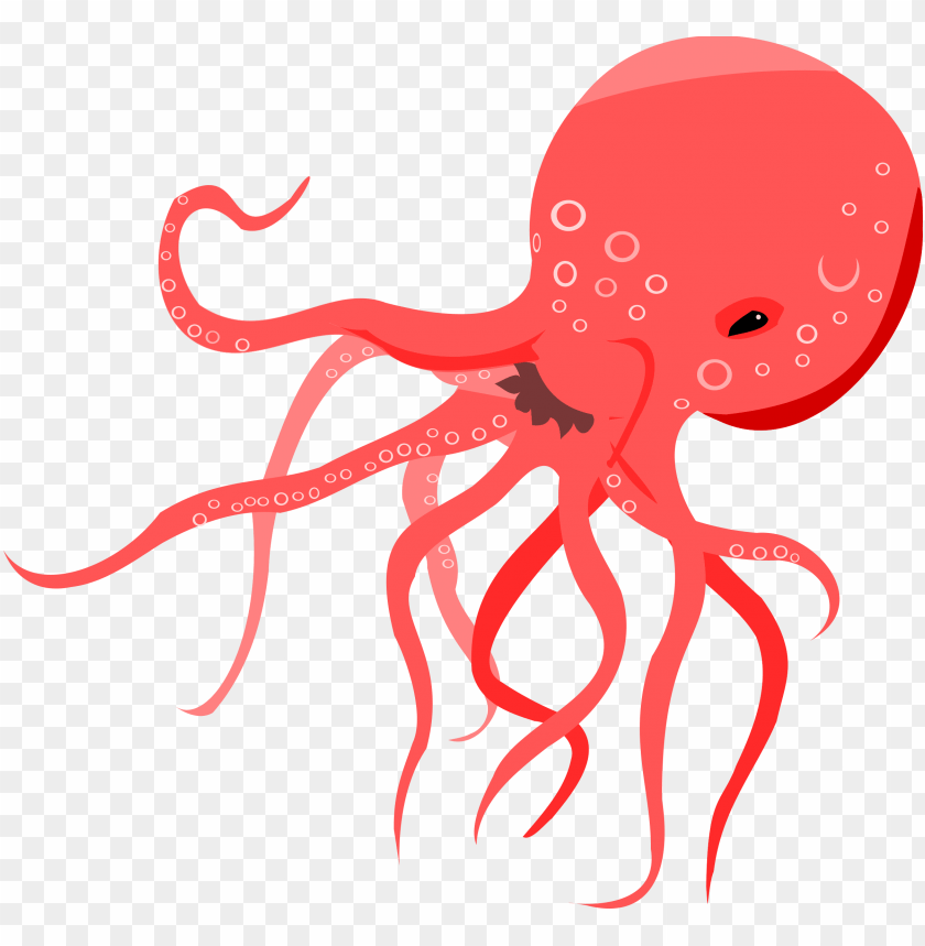 octopus png, octopus,png