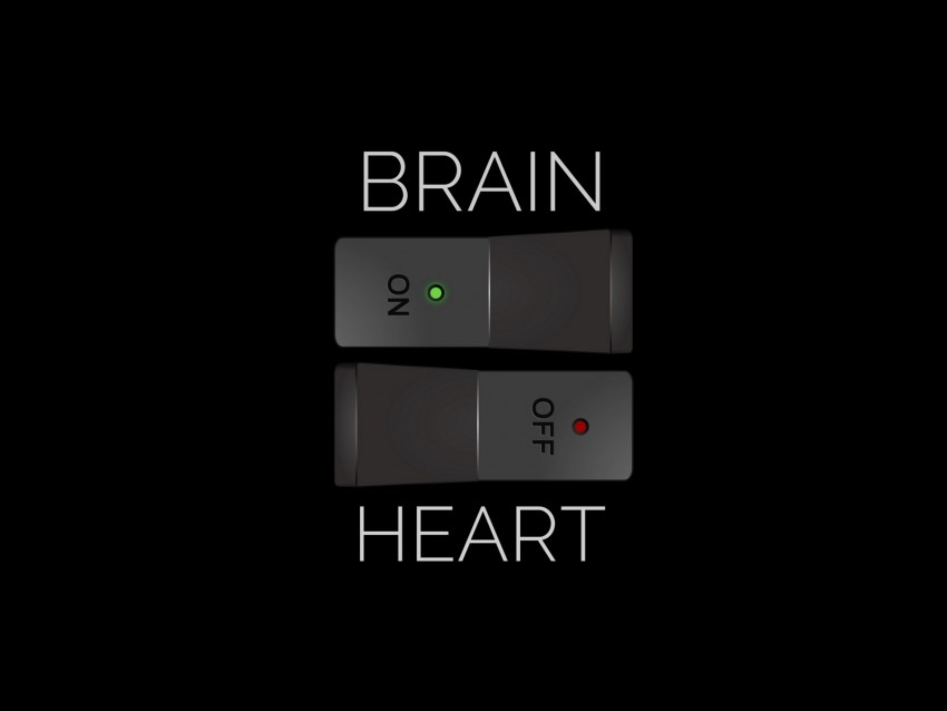 brain heart, on off switch, emotional intelligence, mind vs heart, balance between logic and feelings