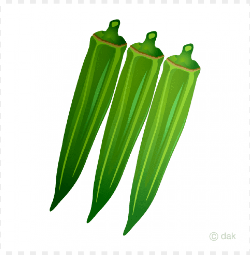 okra clipart