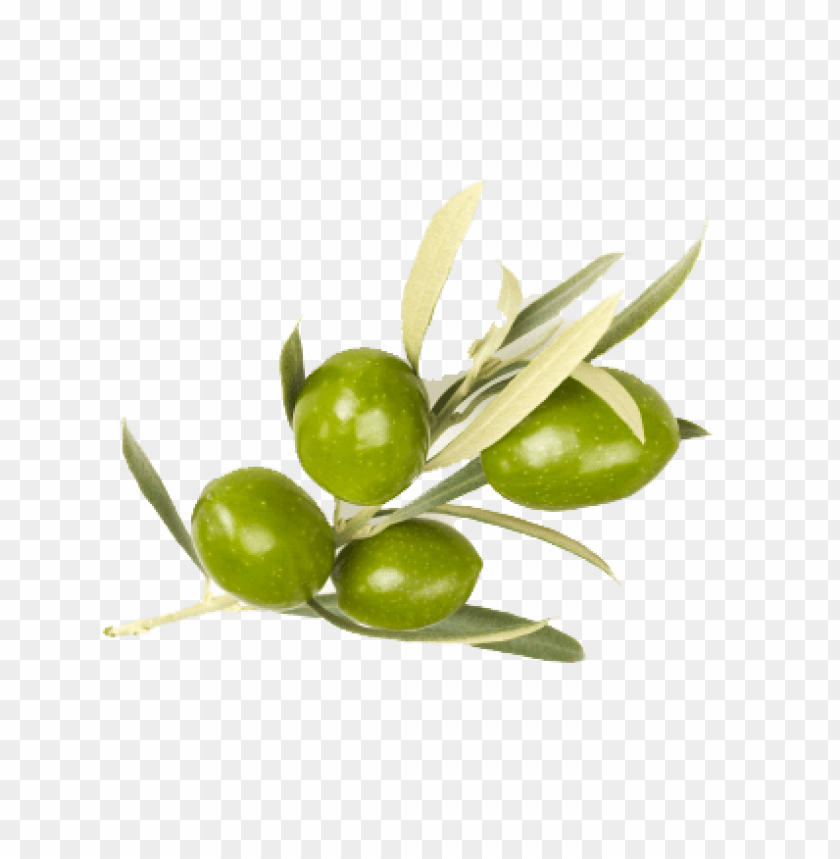 Olives, Green olives, Olive oil, Olive leaf, Mediterranean cuisine