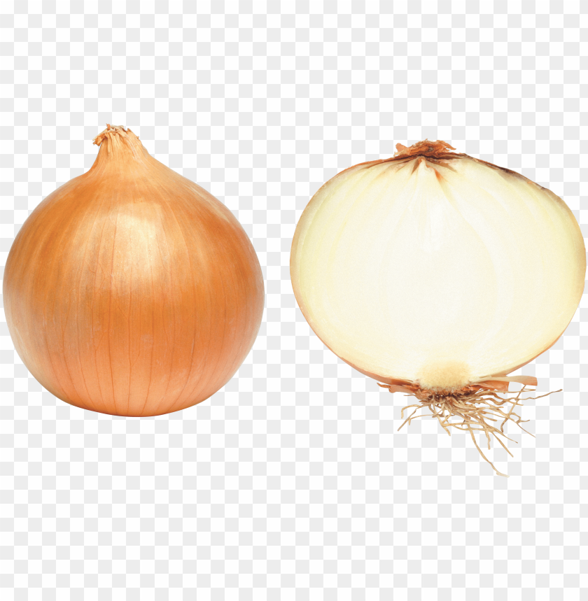 
onion
, 
vegetable
, 
genus allium
, 
allium fistulosum
, 
onions
