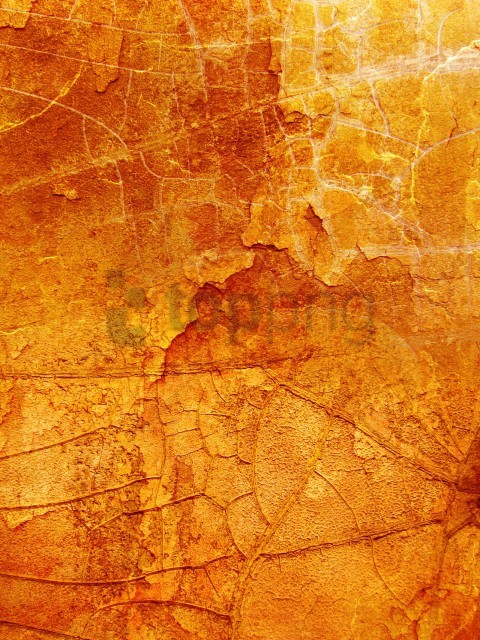 orange background textures, textures,orange,texture,orang,background