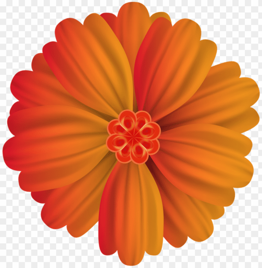 orange flower deco png