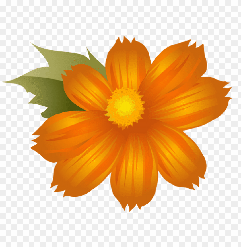 orange flower png clip-art