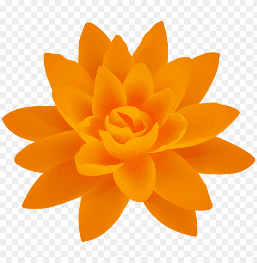 orange flower png deco