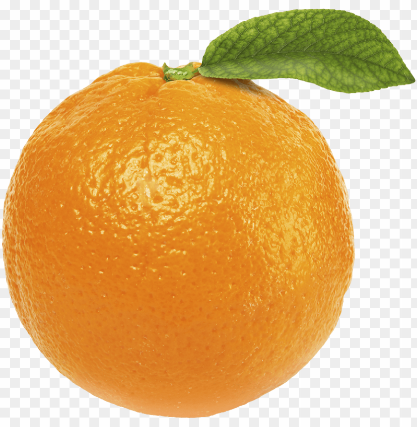 
orange
, 
fruit
, 
bitter orange
, 
oranges
, 
clip art
