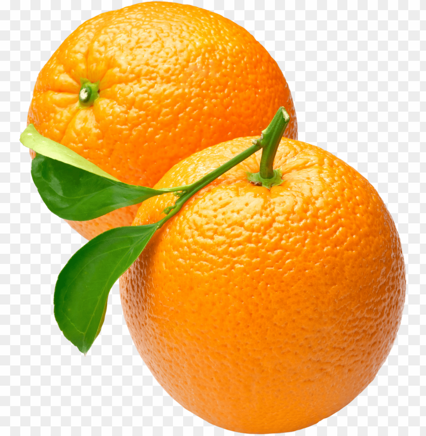 
orange
, 
fruit
, 
bitter orange
, 
oranges
, 
clip art
