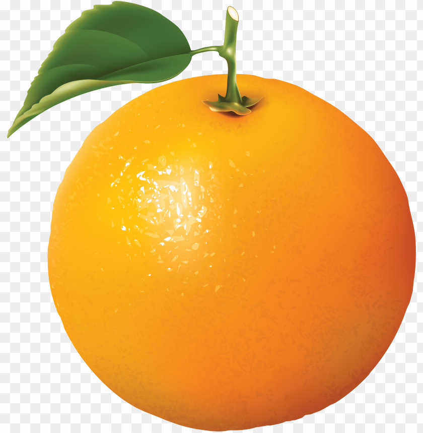 
orange
, 
fruit
, 
bitter orange
, 
oranges
, 
clip art
