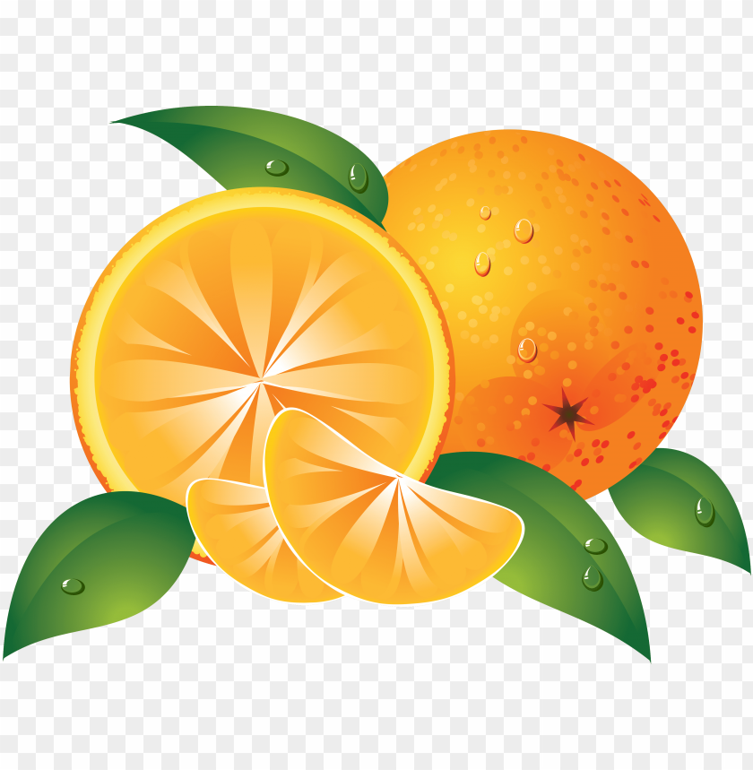 
orange
, 
fruit
, 
bitter orange
, 
oranges
, 
clip art
