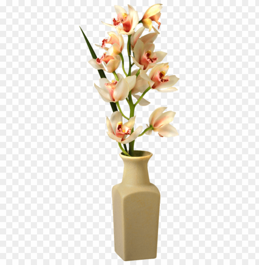 orchid in vase