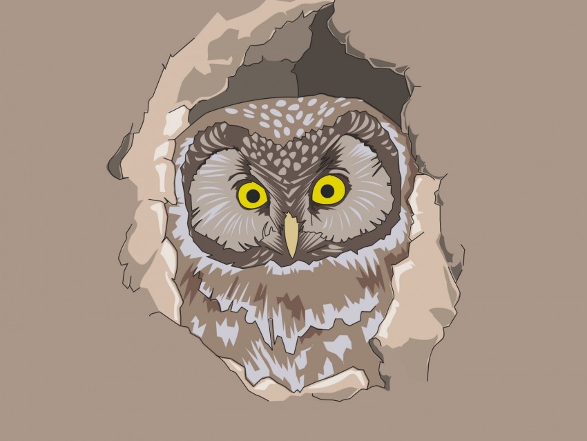 owl, spy out, vector, art