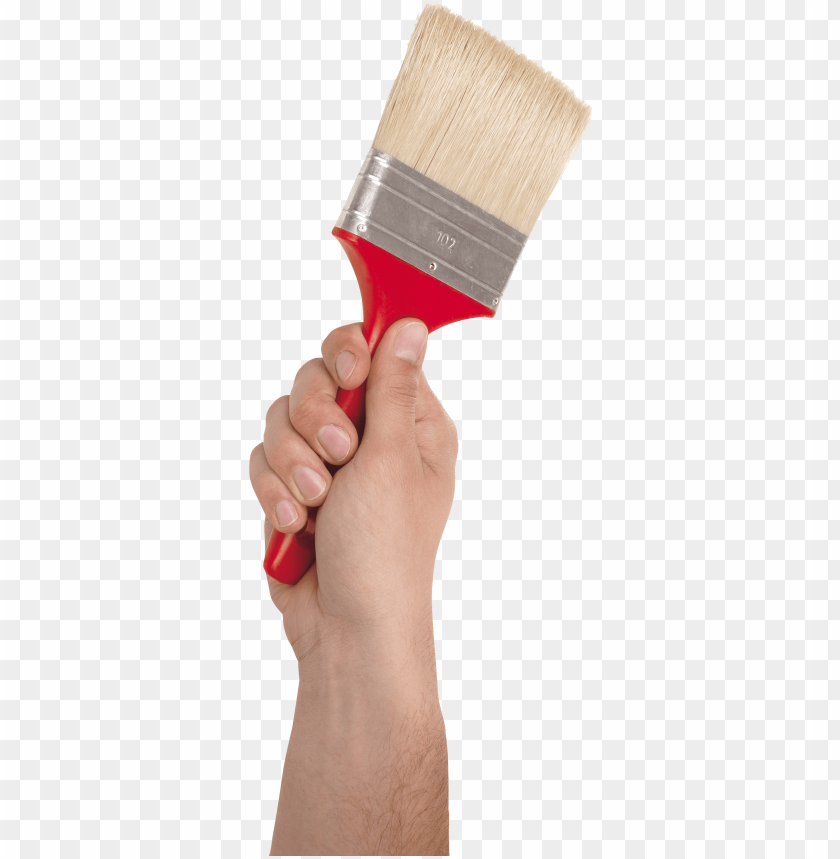 
brushes
, 
bristles
, 
cleaning
, 
paint
