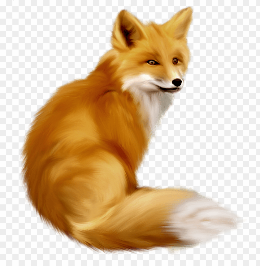 fox, orange fur, wildlife, forest animal, nature, mammal, carnivore