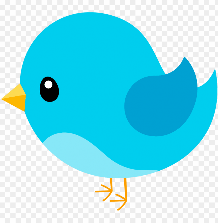 phoenix bird, twitter bird logo, big bird, bird wings, flappy bird pipe, bird