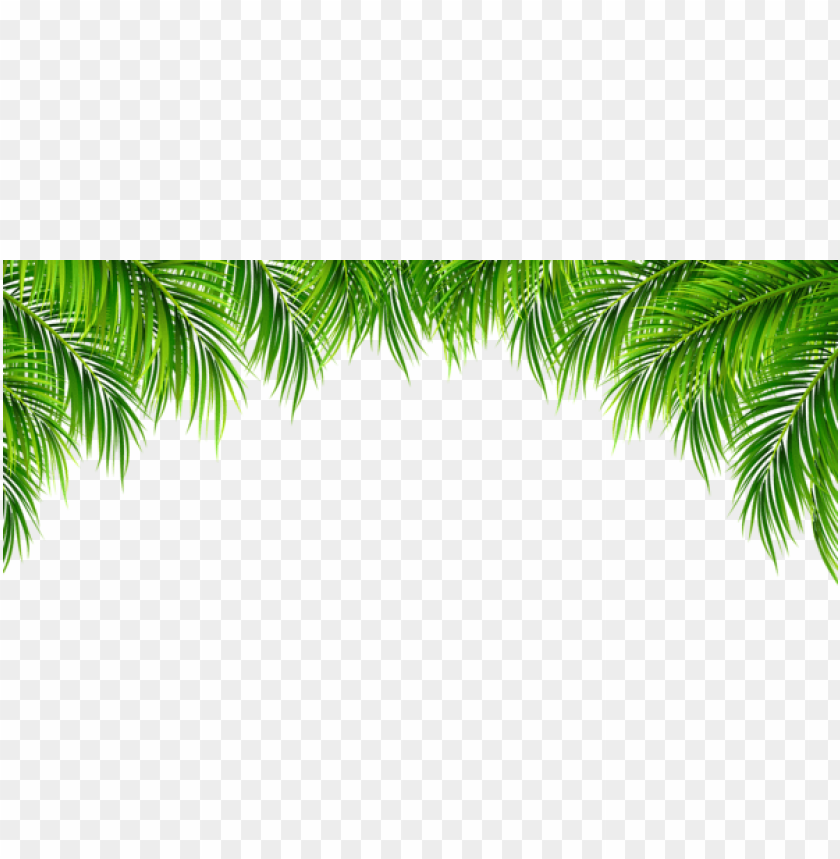 palm leaves decor