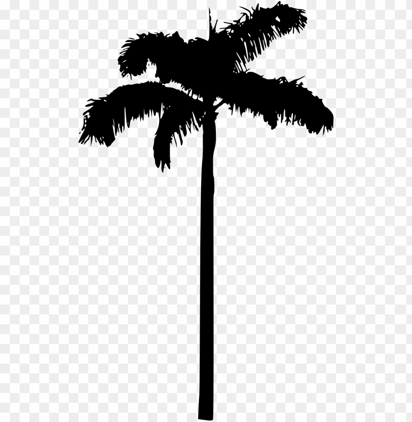 Silhouette of a tall palm tree against a transparent background PNG