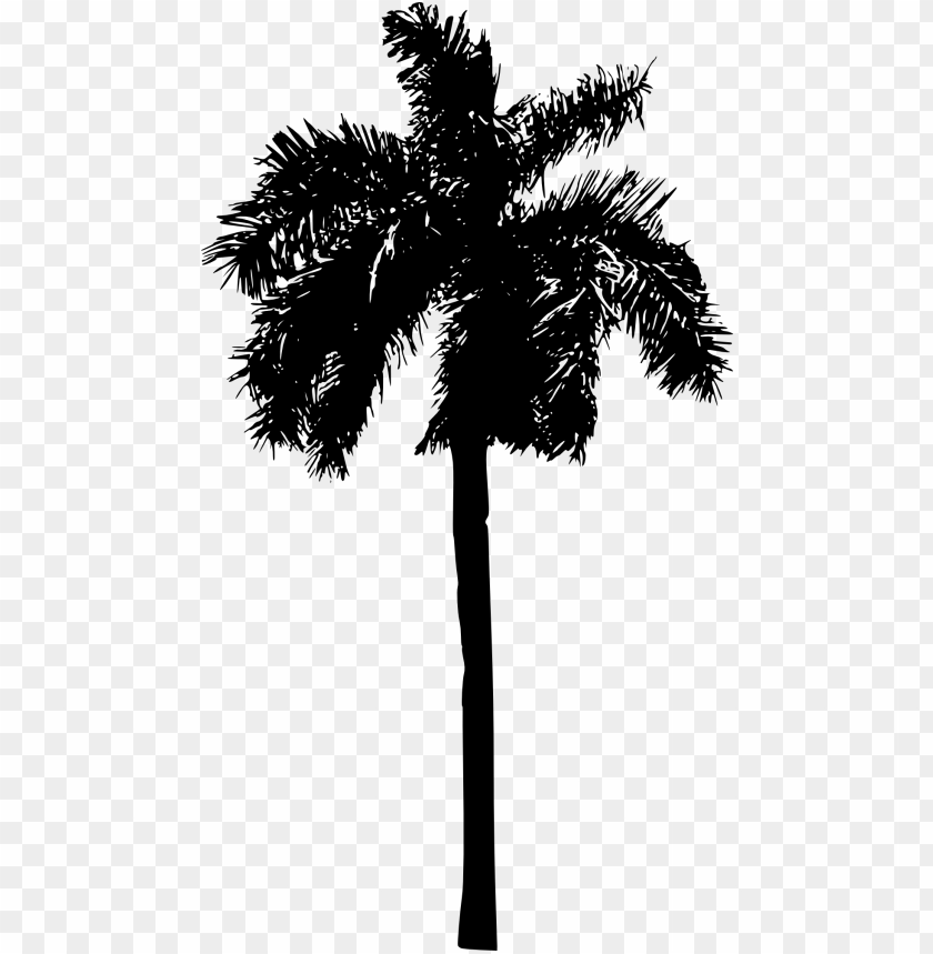 Trees, Palm Trees, Tropical Plants, Landscape Design, Outdoor Decor