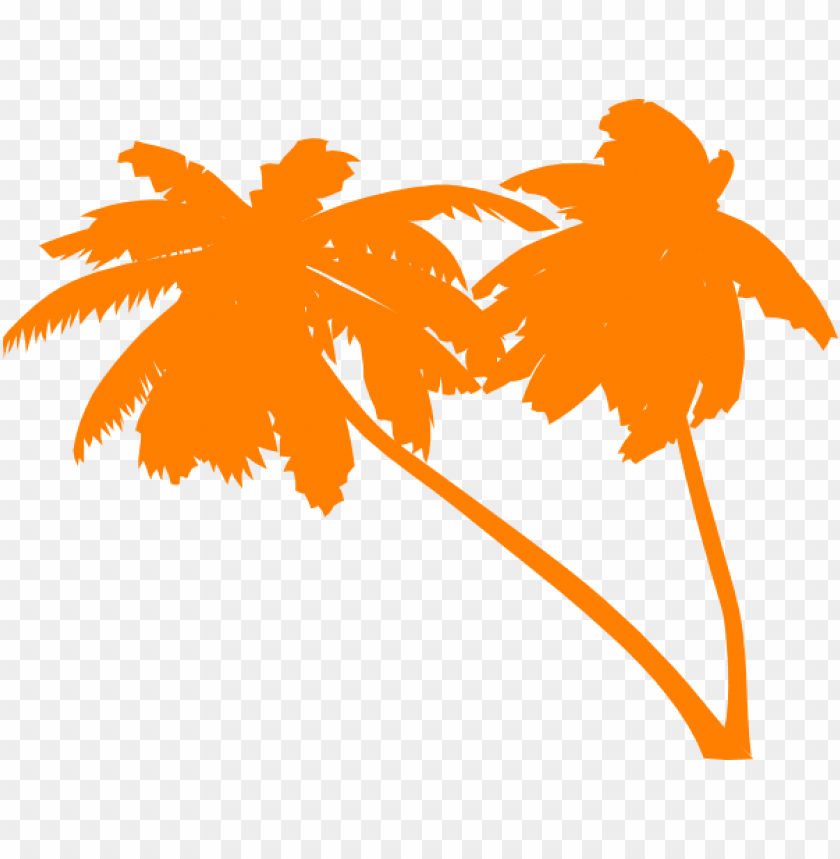 palm tree vector