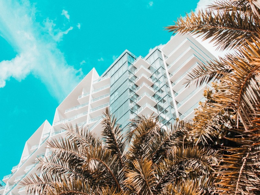 Palm Trees Building Tropics Sky Bottom View Background