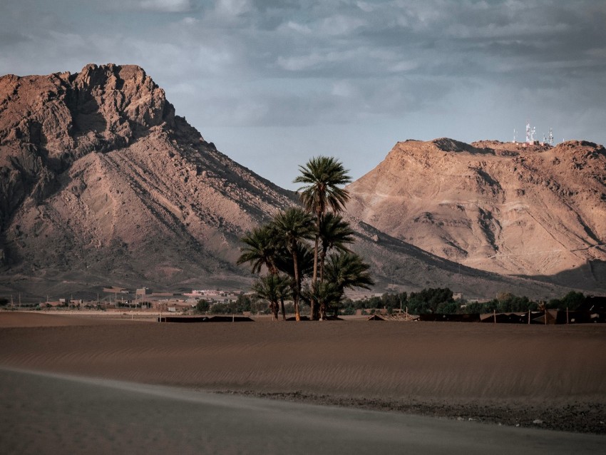 Palm Trees Mountains Desert Oasis Sand Background