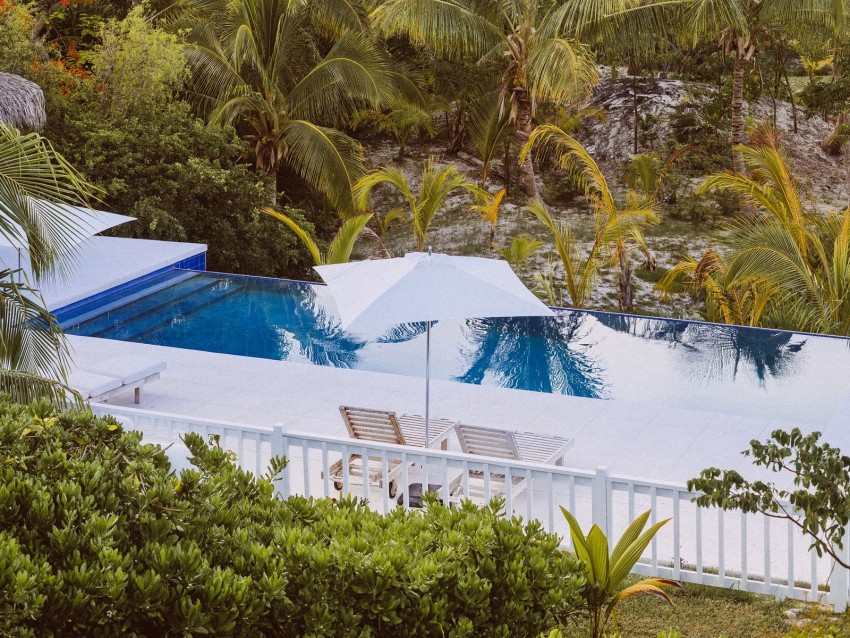 palm trees, pool, deck chairs, summer, rest