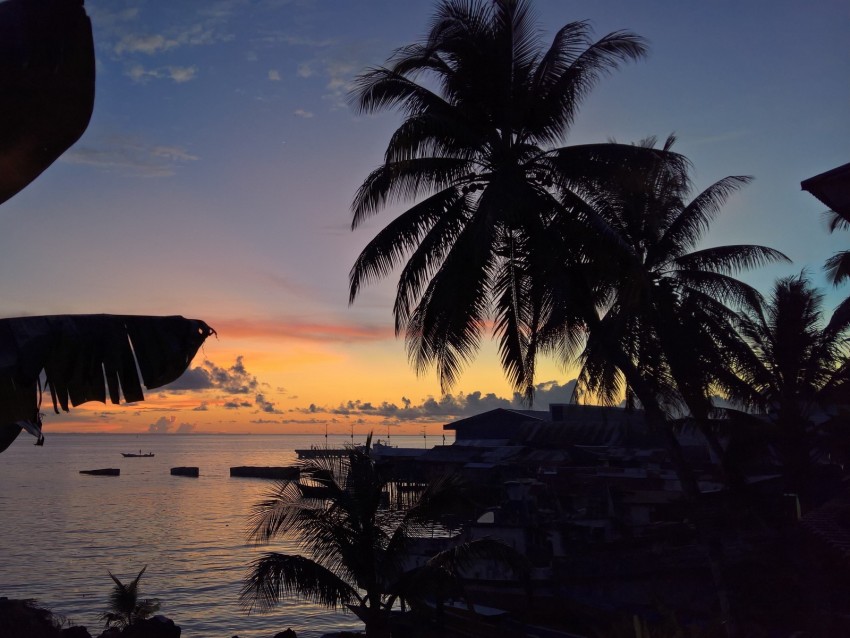 Palm Trees Sunset Tropics Horizon Ocean Background