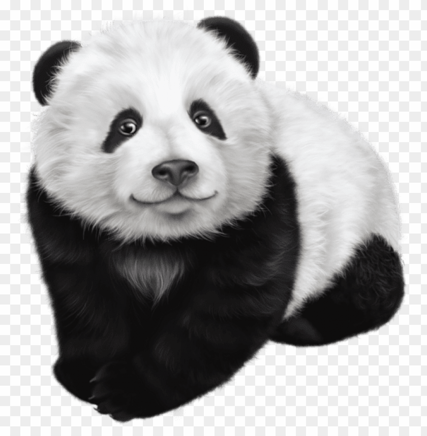 panda, animal, wildlife, cute, black and white, furry, nature