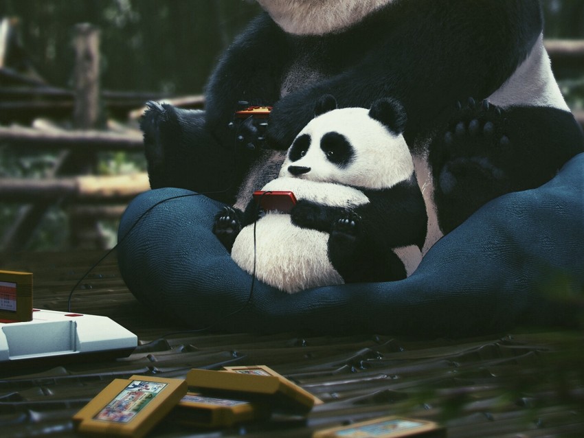 pandas, joysticks, cartridges, play, gamer