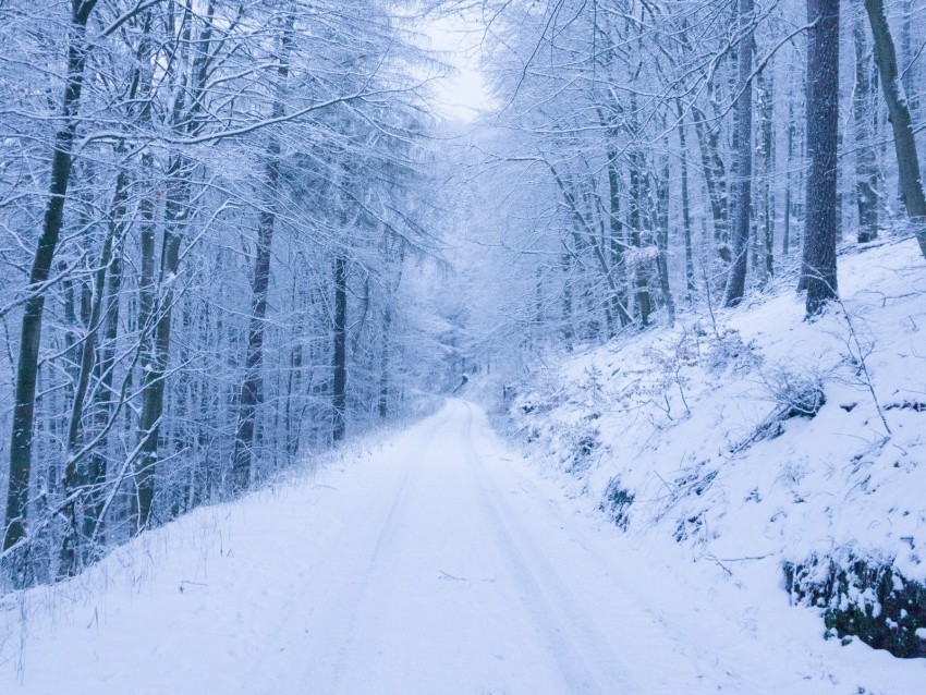 Park Path Winter Snow Trees Background