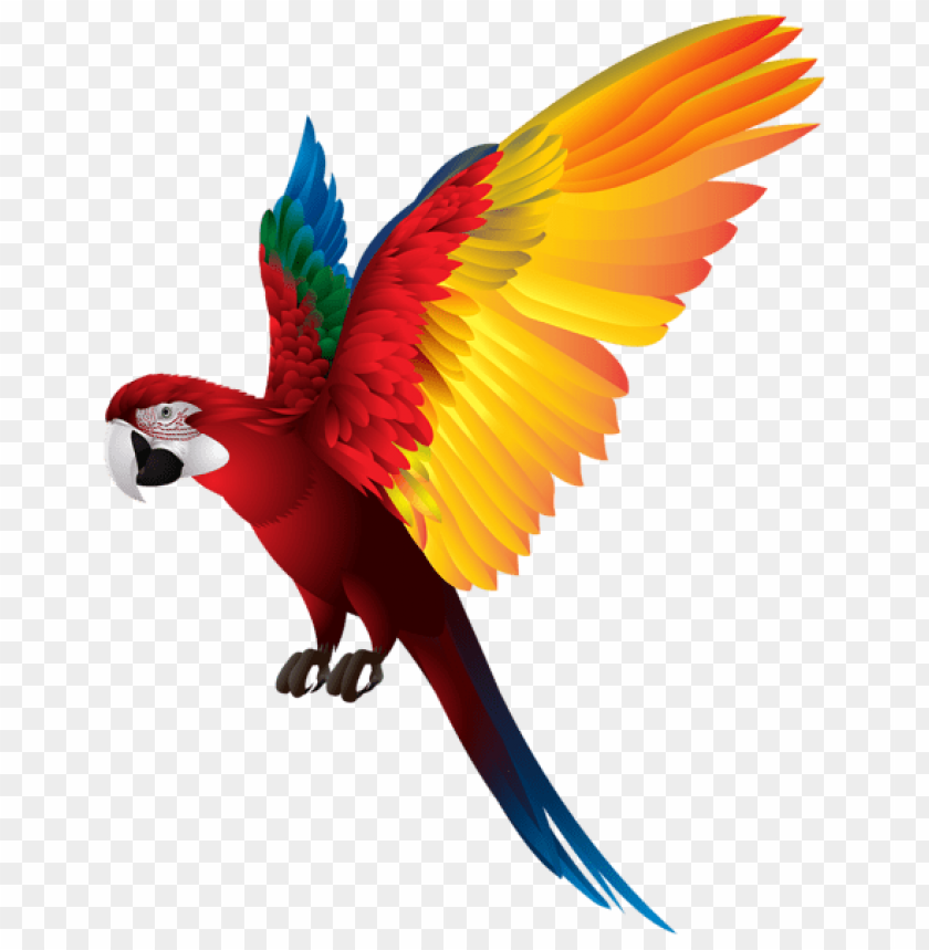 birds png ,bird