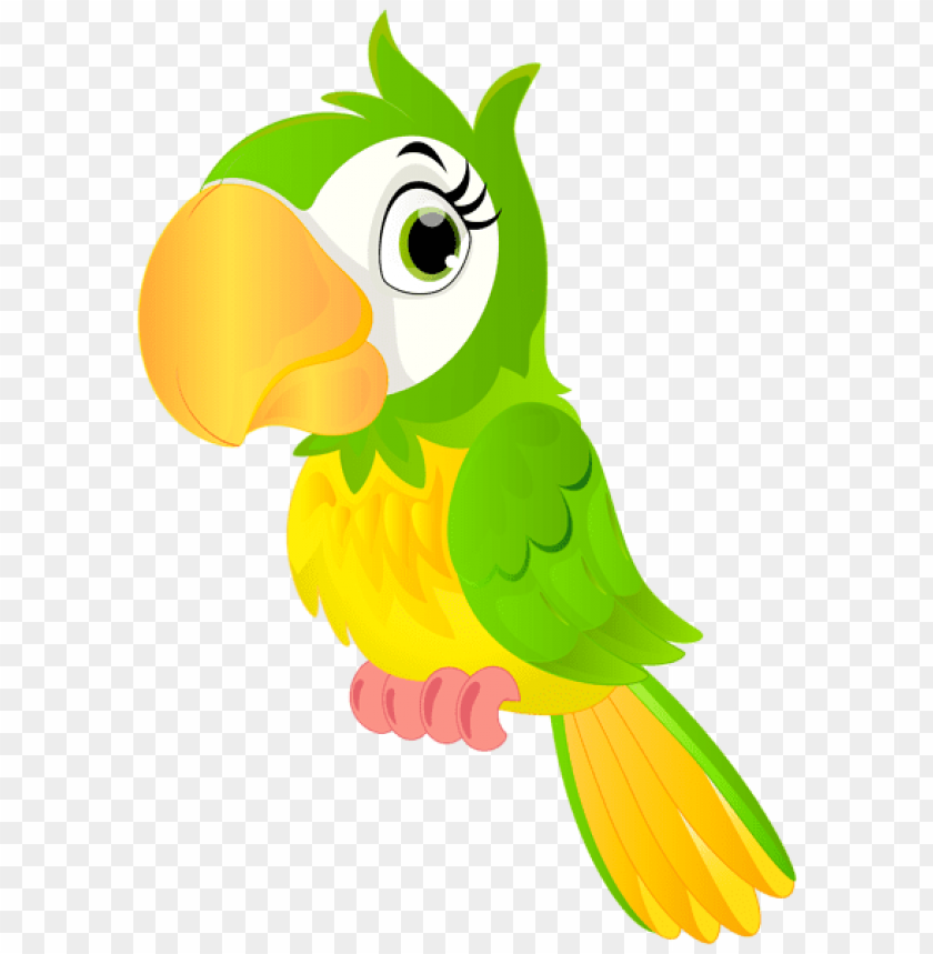 parrot, green bird, cartoon animal, colorful feathers, cute pet, tropical bird, bird illustration