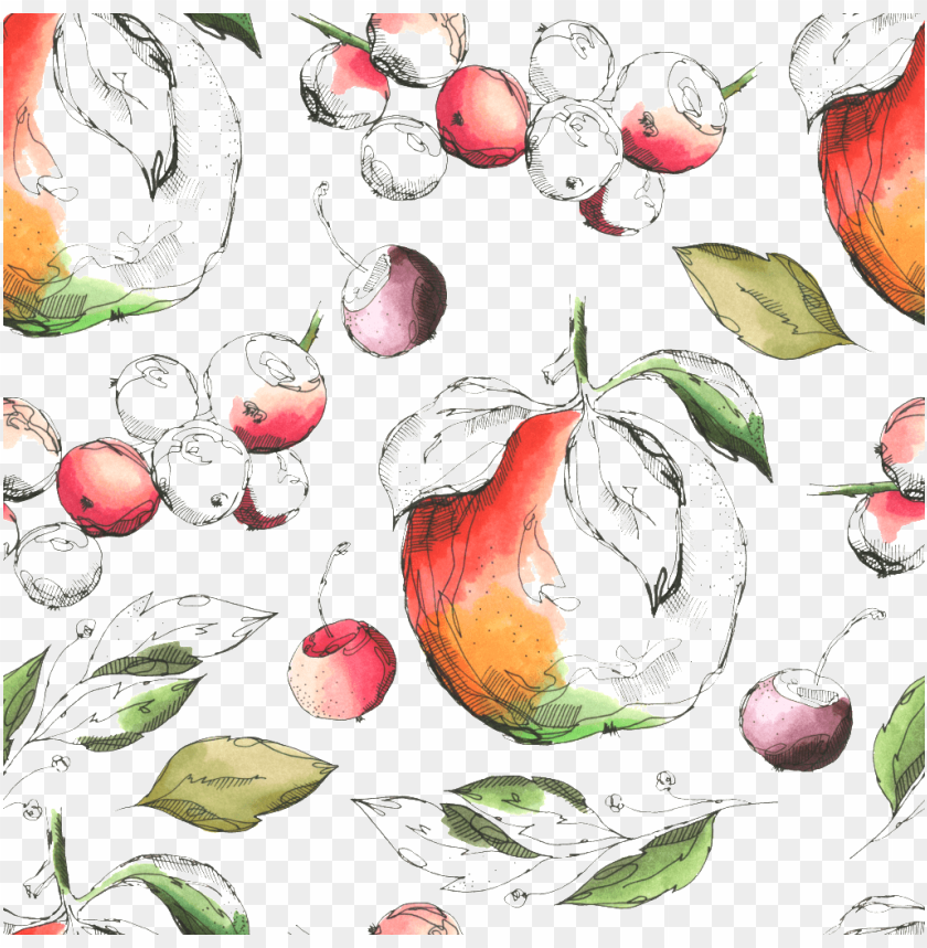 apple music logo, fruit tree, apple logo, apple, white apple logo, fruit salad